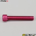 Screws 8x45 mm head BTR Puig red (set of 6)