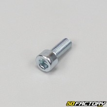 Screw 6x16 mm BTR head (per unit)