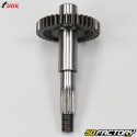 Secondary transmission Minarelli vertical, horizontal MBK Booster,  Nitro...Jasil (Top Racing)