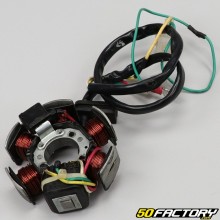 Ducati ignition stator Derbi