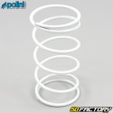 Clutch push spring Piaggio Zip  et  Sfera Polini