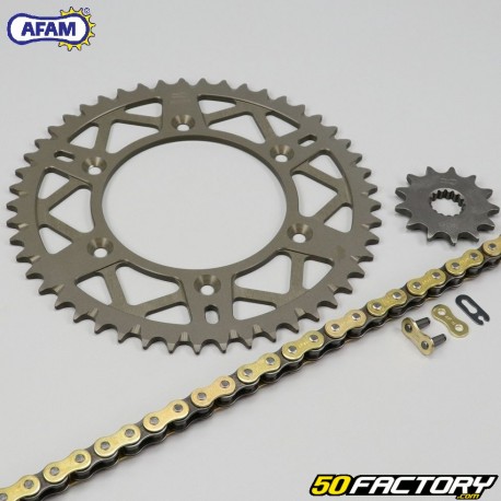 Reinforced chain kit 13x49x116 Beta  RR  Racing 390 Afam  or