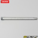 Axe de roue arrière Derbi Senda DRD Racing (2004 - 2010), DRD Xtreme, Gilera SMT, RCR (2011 - 2017)
