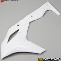 Carenados delanteros Kawasaki KXF XNUMX (XNUMX - XNUMX) Polisport  blancos