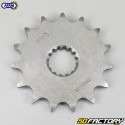 Chain Kit 15x48x112 Beta Xtrainer 250, 300 Afam gray