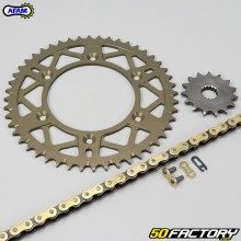 Reinforced chain kit 15x48x112 Beta Xtrainer 250 and 300 Afam  or