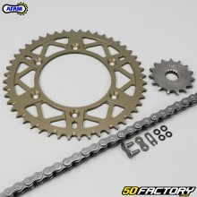 Chain kit with lip seals 15x48x112 Beta Xtrainer 250 and 300 Afam gray