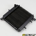 Radiator Aprilia RS 50 (1991 - 2005)