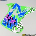 Kit grafico Kawasaki KX XNUMX, XNUMX (XNUMX - XNUMX) Tecnosel Team  XNUMX