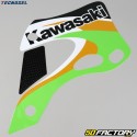 Kit grafico Kawasaki KX 125, 250 (1999 - 2002) origine Tecnosel 2000