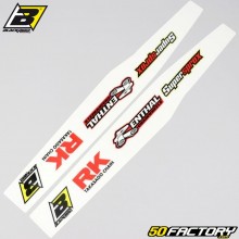 Stickers de bras oscillant Husqvarna FC, TC 250, 350, 450... (depuis 2019) Blackbird