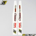 Swingarm decals Husqvarna FC, TC 250, 350, 450... (since 2019) Blackbird