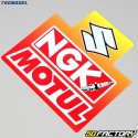 Decoration  kit Suzuki RM 125 (250 - 1996) Tecnosel Team 1998