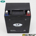 Batterie YTX14AH-3 12V 14Ah SLA Acid Wartungsfrei Polaris Sportsman,  Yamaha YFM, Suzuki LT-F ... Landport