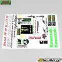 Stickers Bud Racing Kawasaki... 31.5x22 cm (board)