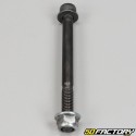 Albero supporto motore centrale Derbi Senda,  Gilera Smt, Rcr, Aprilia Sx, Rx...8x90