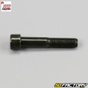 Tornillo XNUMXxXNUMX mm amortiguador Generic Trigger , Ksr TR, Ride Thorn, Mash Fifty ...