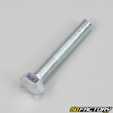 XNUMXxXNUMX mm hex head screws (per unit)