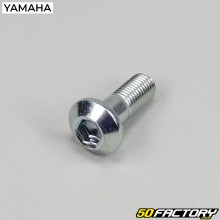Tornillos corona 10x30 mm Yamaha YFZ 450R, Raptor 700... (sencillo)