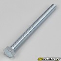 Tornillo 8x100 mm cabeza hexagonal (por unidad) V2