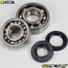 Crankshaft bearings and seals Peugeot 103 SP, MVL, XP...Omega