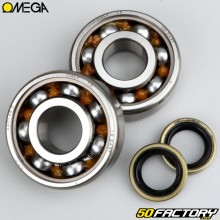 Bearings and crankshaft oil seals AVXNUMX, AVXNUMX MBK XNUMX, Motobécane Omega