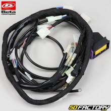 Wiring harness Beta RR 50 (2018 - 2020)