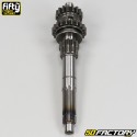 Gearbox Yamaha PW 80 Fifty