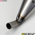 Exhaust Yamaha DT  XNUMX, MBK Xlimit, Peugeot  XPS, Malaguti XSM ... Tecnigas  E-nox Steel