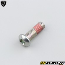 Vite disco freno originale da 8x25 mm Peugeot