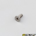 XNUMXxXNUMX mm brake master cylinder screw (each)