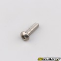 Tornillo XNUMXxXNUMX mm BTR cabeza abombada (por unidad)