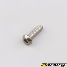 Tornillo cabeza abombada BTR de 6x20 mm (por unidad)