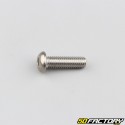 6x20 mm domed head BTR screw (per unit)