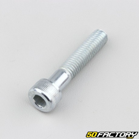 Tornillo cabeza BTR de 8x40 mm (vendido por unidad)