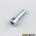 Tornillo cabeza BTR de XNUMXxXNUMX mm (vendido por unidad)