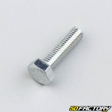 8x30 mm hex head screws (per unit)
