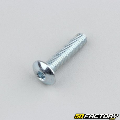 Tornillo 8x35 mm BTR cabeza abombada (por unidad)