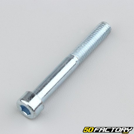 Tornillo cabeza BTR de 8x60 mm (vendido por unidad)