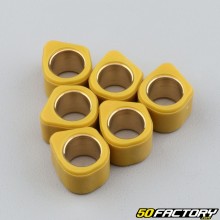 Variatorgewichte Gleitrollen 6g 16x13 mm Kisbee, Agility, Zip, Cracker 50 ...