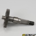 Driveshaft XNUMXPEXNUMXQMB Keeway, TNT, Generic  KSR ... XNUMX XNUMXT