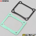 Kawasaki KX 125 engine gaskets (1998 - 1999) Athena