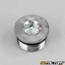 Tapa de la horquilla KYB Derbi Senda, Gilera RCR, SMT, Aprilia SX et RX  (Desde XNUMX)