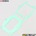 Honda CR 250 R Engine Gaskets (1981 - 1982) Athena