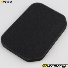 Filtro de aire Suzuki Burgman  xnumx, xnumx (xnumx - xnumx) Nypso