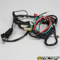 Electrical harness Kymco Agility 125