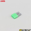 minifusibles Lampa  Micro Debido (Pack de XNUMX)