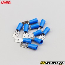 Terminali a crimpare maschio da 6.3 mm Lampa blu (confezione da 10)