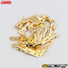 6.3 mm male, female crimp terminals Lampa (batch of 20)