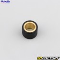 Rodillos de variador 23g 24x18 mm Piaggio Hexagon,  Suzuki Burgman 200, 250 ... RMS